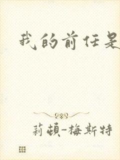 我的前任是极品