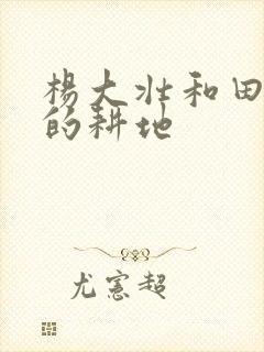 杨大壮和田桂花的耕地