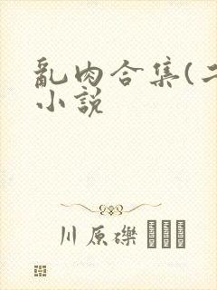 乱肉合集(二)小说