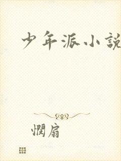 少年派小说