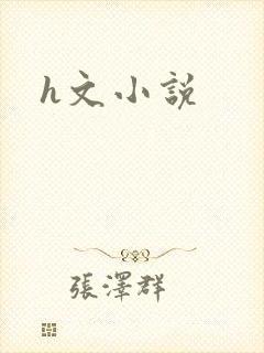h文小说