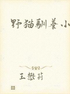 野猫驯养小说