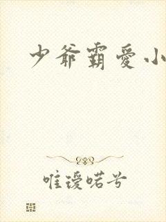 少爷霸爱小丫头