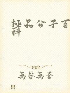 极品公子百度百科