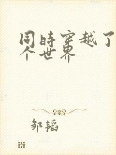 同时穿越了99个世界