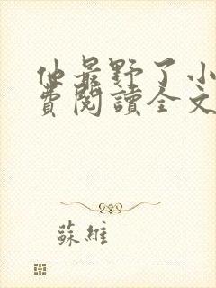 他最野了小说免费阅读全文