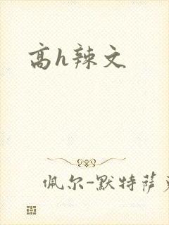 高h辣文