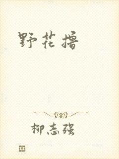 野花撸