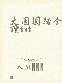 大团圆结全文阅读txt