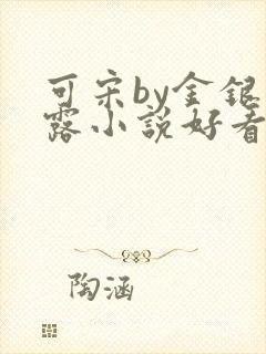 可宋by金银花露小说好看吗