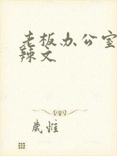 老板办公室系列辣文