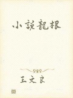 小说龙根