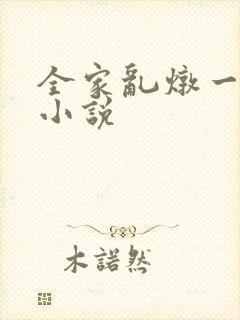 全家乱炖一锅烩小说