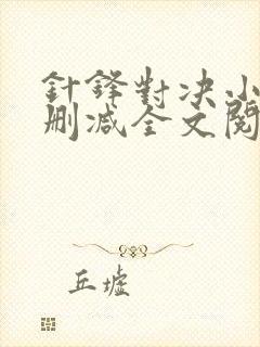 针锋对决小说未删减全文阅读