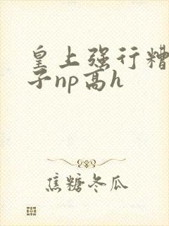 皇上强行糟蹋太子np高h