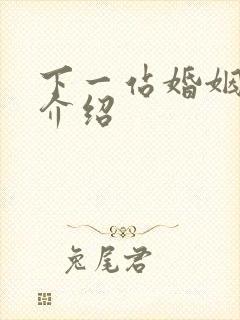 下一站婚姻剧情介绍