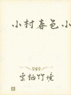 小村春色小说