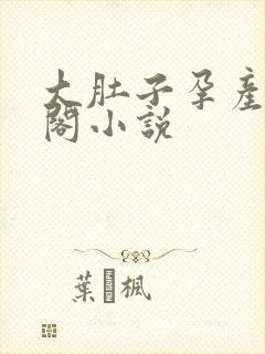 大肚子孕产笔趣阁小说