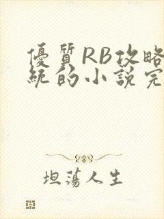 优质RB攻略系统的小说完整版
