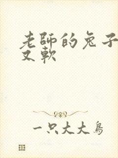 老师的兔子又大又软