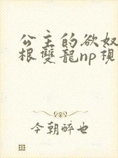 公主的欲奴h四根双龙np视频