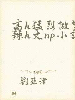 高h猛烈做哭高辣h文np小说