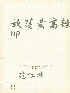 放荡黄高辣h文np