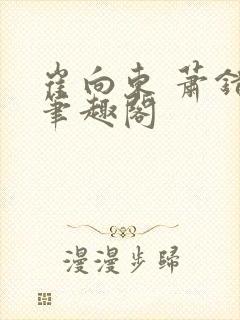 崔向东 萧错 笔趣阁