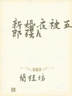 新婚夜被五个伴郎强h