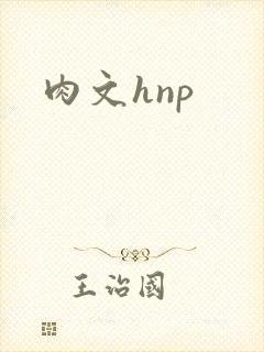 肉文hnp