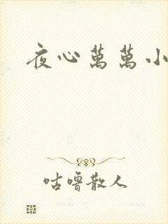 夜心万万小说