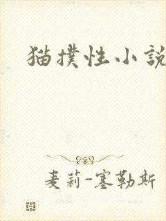 猫扑性小说