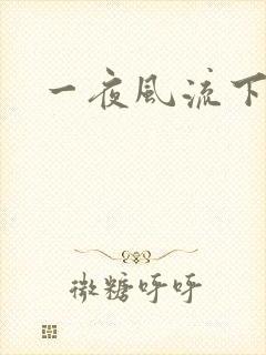 一夜风流下载