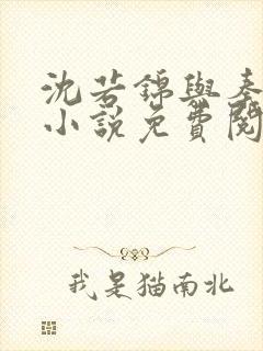 沈若锦与秦琅的小说免费阅读