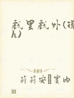 戏里戏外(现场h)