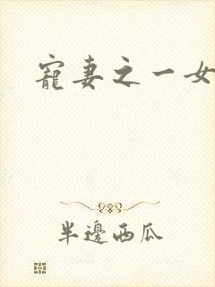 宠妻之一女二夫