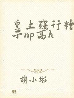 皇上强行糟蹋太子np高h