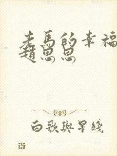 老马的幸福生活赵思思