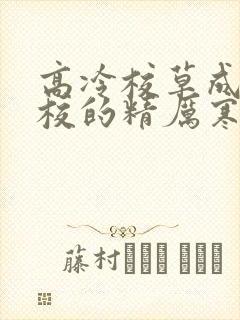 高冷校草成为全校的精厉寒小说