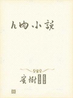 h肉小说