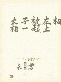 太子被左相和右相一起上