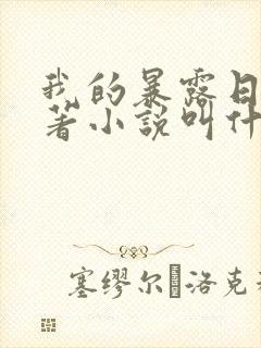 我的暴露日记原著小说叫什么