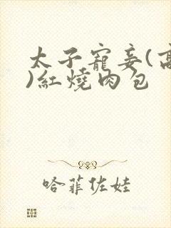 太子宠妾(高肉)红烧肉包