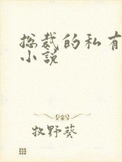 总裁的私有宝贝小说