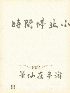 时间停止小说