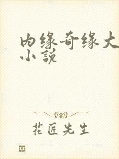 内缘奇缘大团圆小说