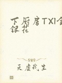 下厨房TXl金银花