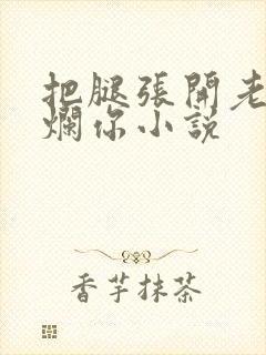 把腿张开老子臊烂你小说