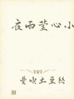 夜雨莹心小说