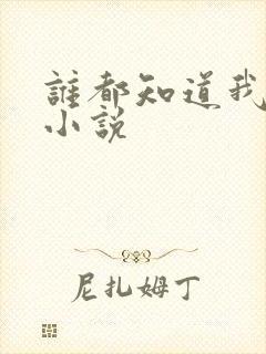 谁都知道我爱你小说